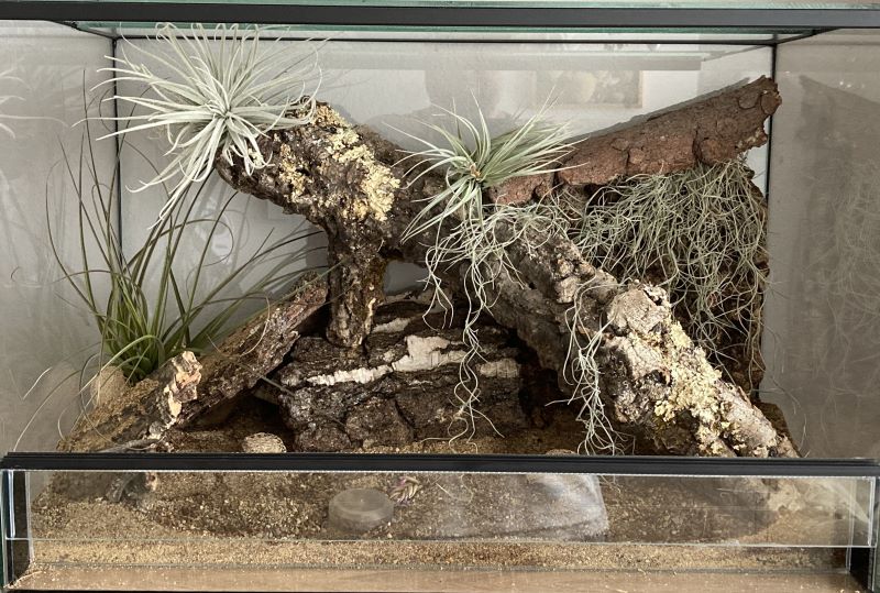 terarium pro heterodona nosatého